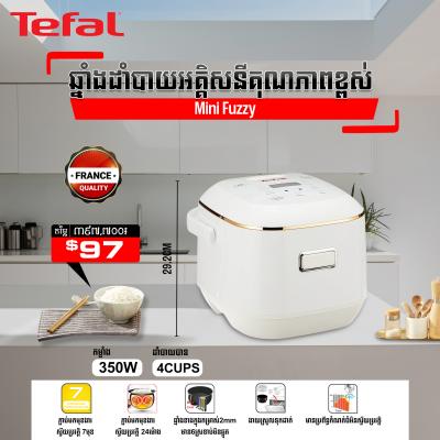 ឆ្នាំងដាំបាយអគ្គីសនី Tefal Mini Fuzzy Rice Cooker 4 Cups RK601165