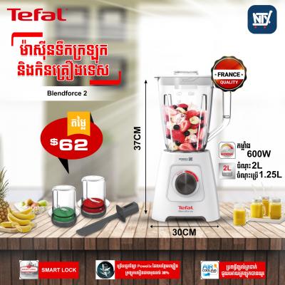 ម៉ាស៊ីនទឹកក្រឡុក និង កិនគ្រឿងទេស Tefal Blendforce 2 BL429165