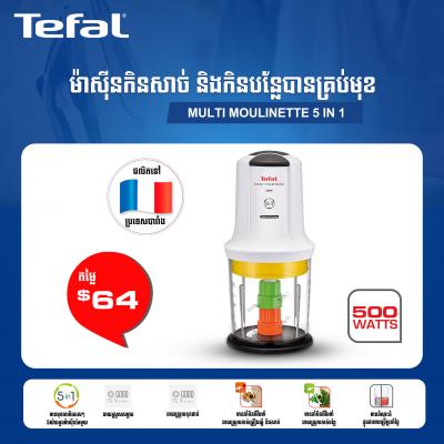 ម៉ាស៊ីនកិនសាច់ និងកិនបន្លែបានគ្រប់មុខ Tefal Multi Moulinette 5 in 1 MQ722165